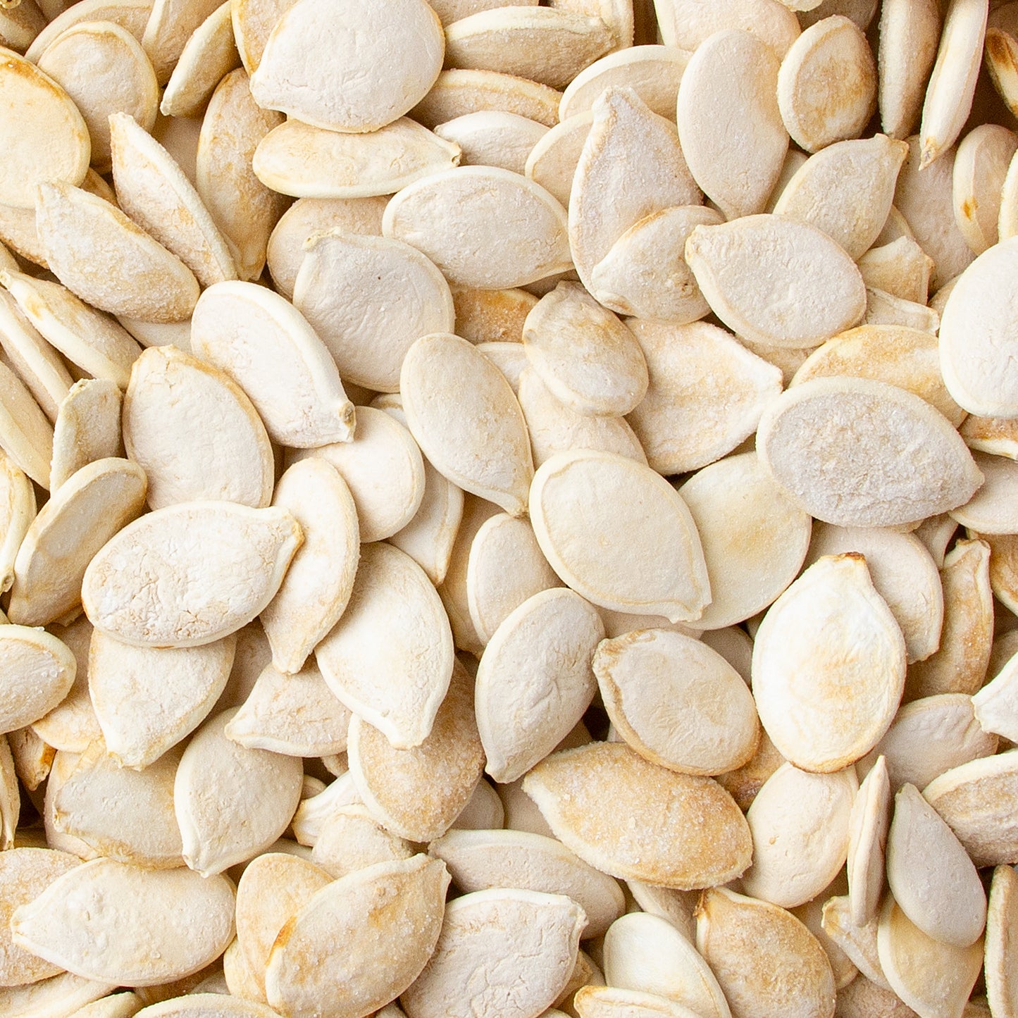 Roasted Salted Israeli Jumbo Pumpkin Seeds