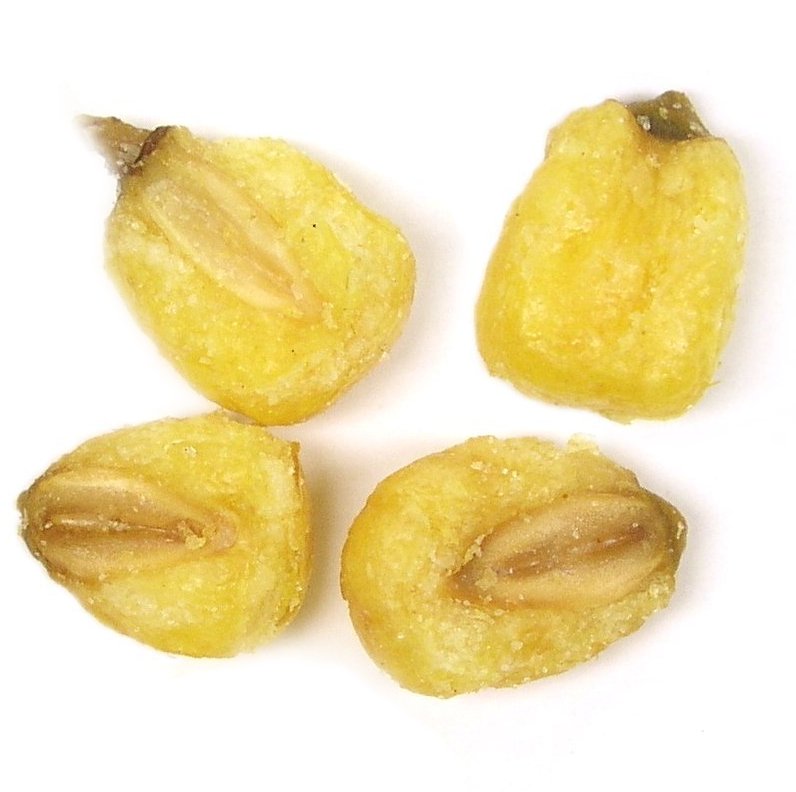 Roasted Salted Corn Nuts