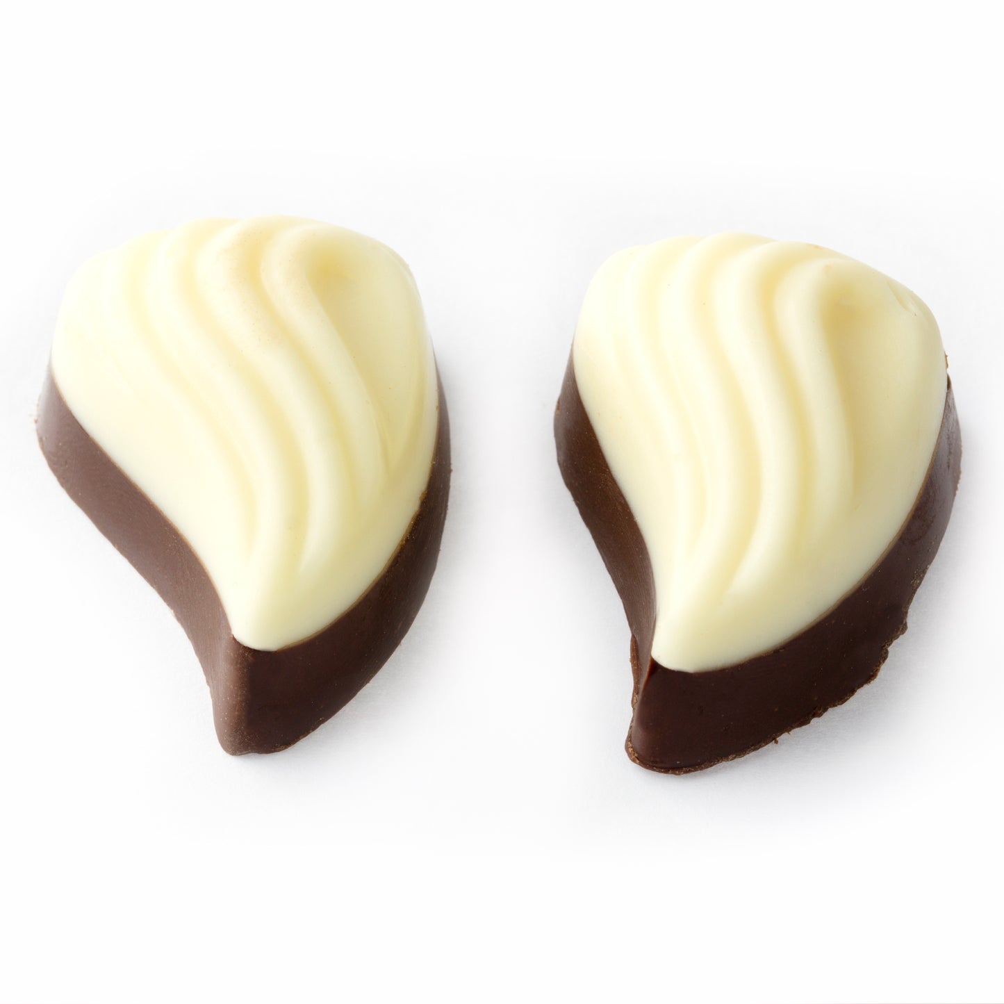 Non-Dairy Two Tone Chocolate Leaves