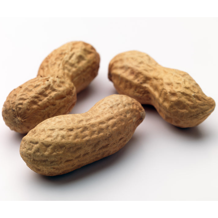 Roasted Peanuts in Shell