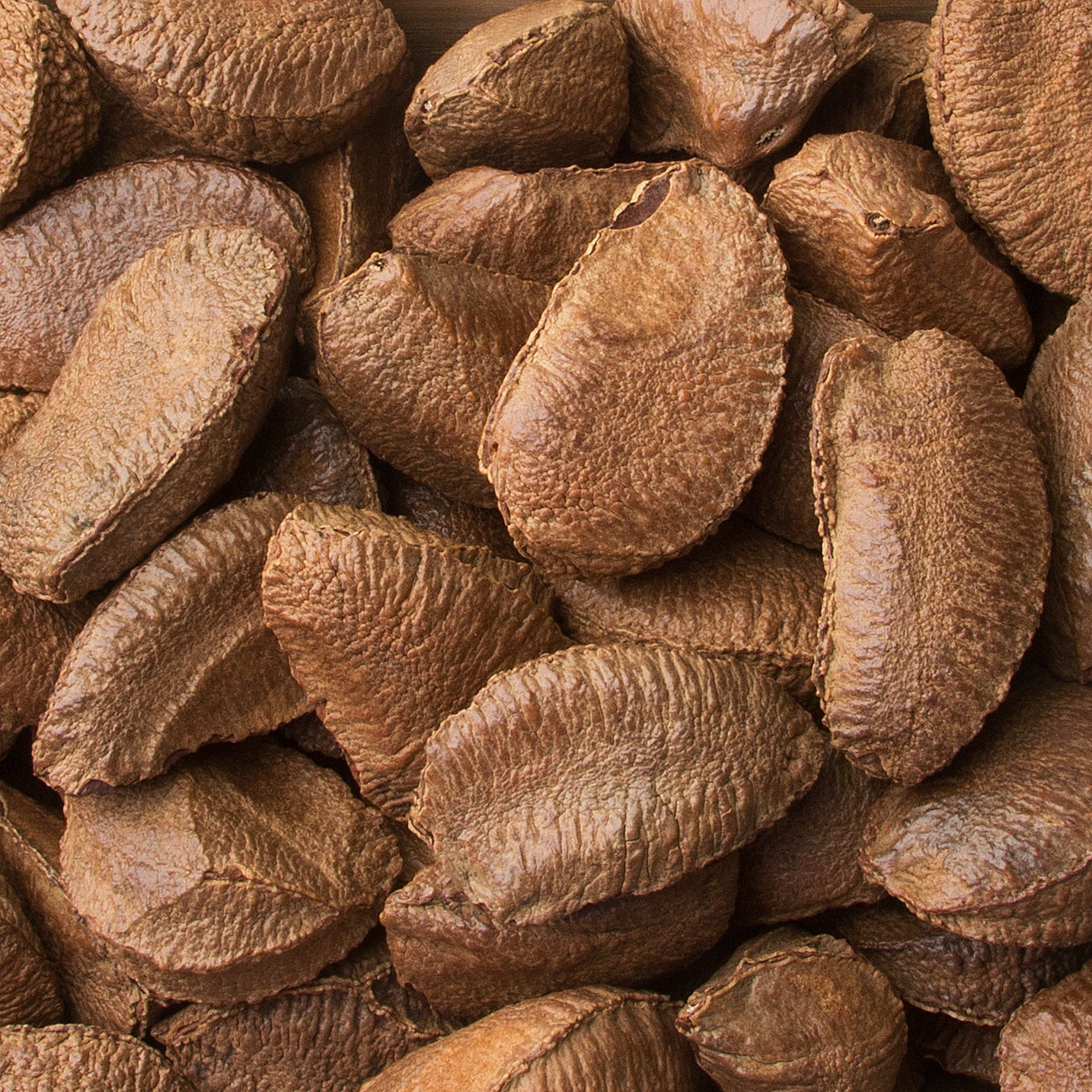 Brazil Nuts In Shell