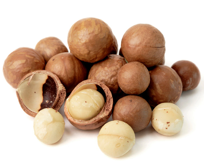 その他 Nuts Makademia Macadamia Nuts in Shell – Oh! Nuts