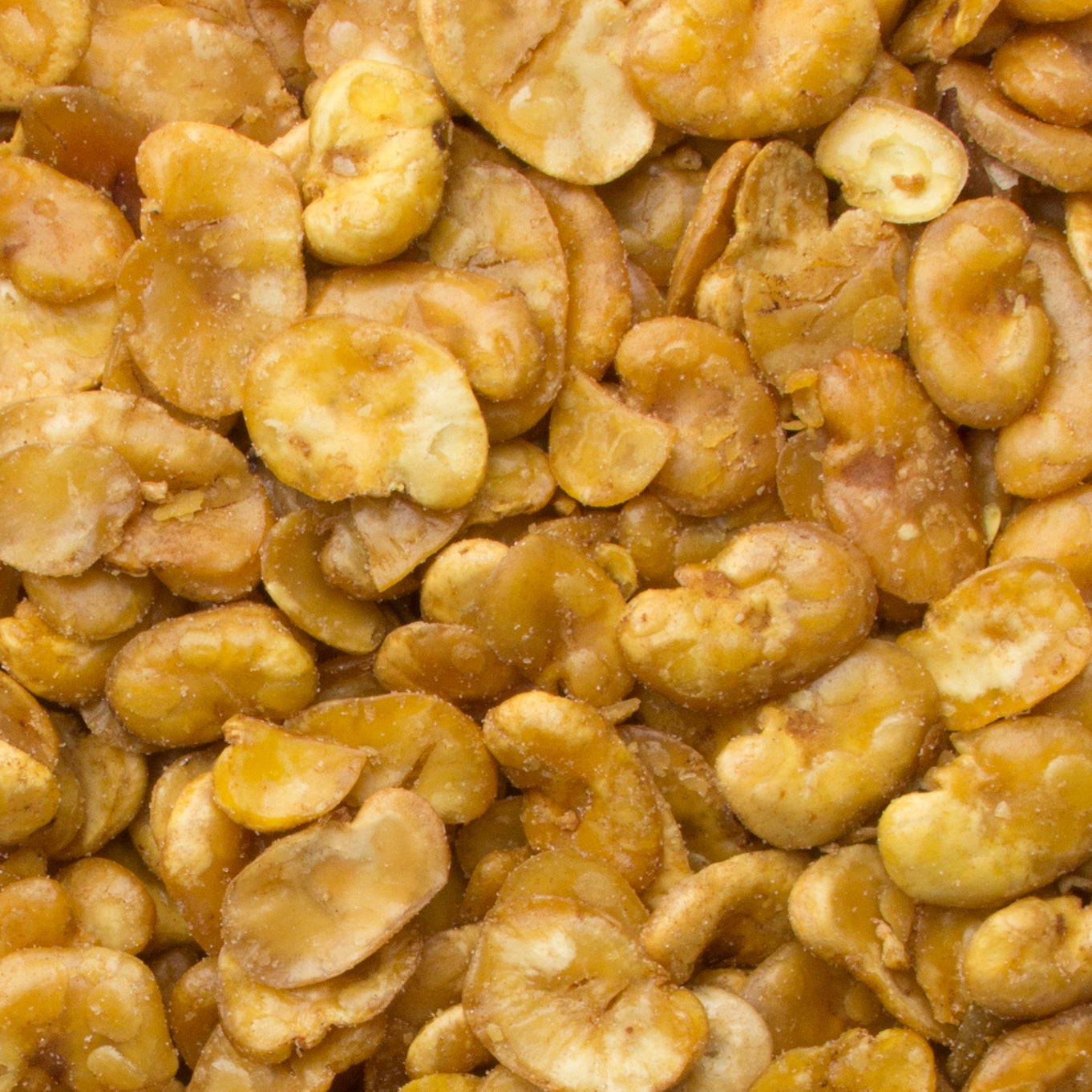 Roasted Salted Fava Beans