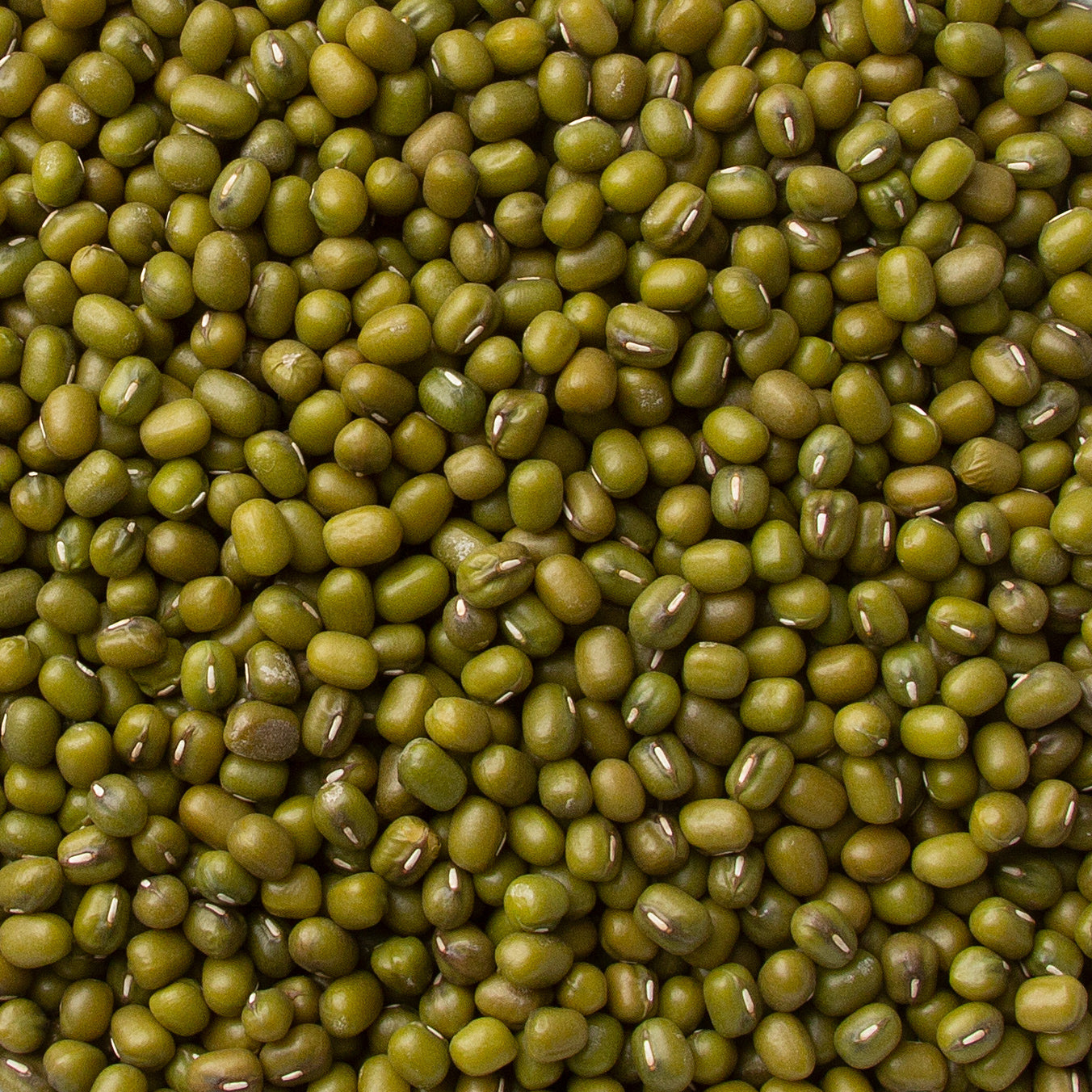 Mung Beans