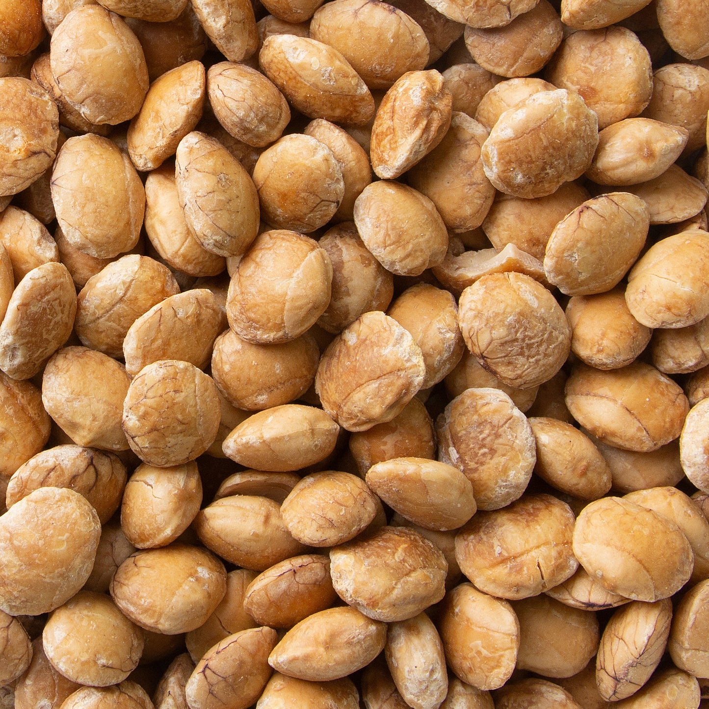 A close-up image of roasted Sacha Inchi seeds, resembling small, round nuts with a golden-brown hue.