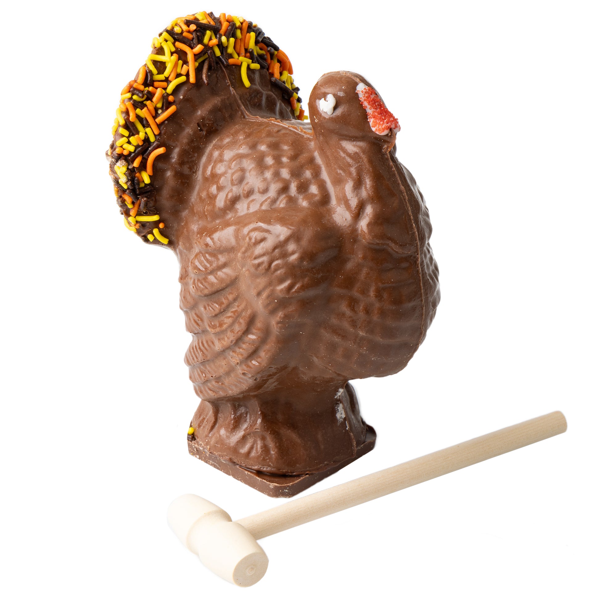 Thanksgiving XL Turkey Smash Chocolate
