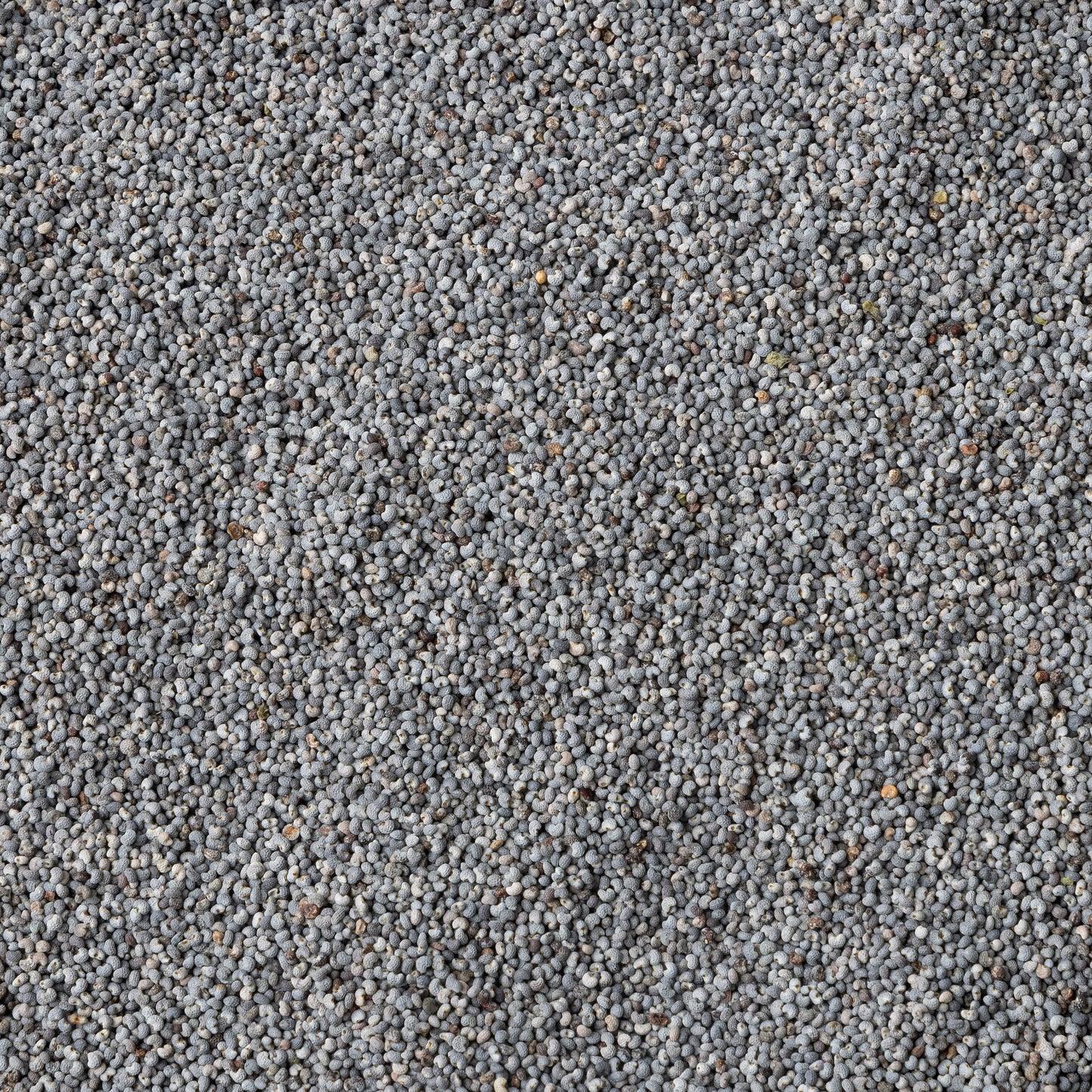 Australia Blue Poppy Seeds