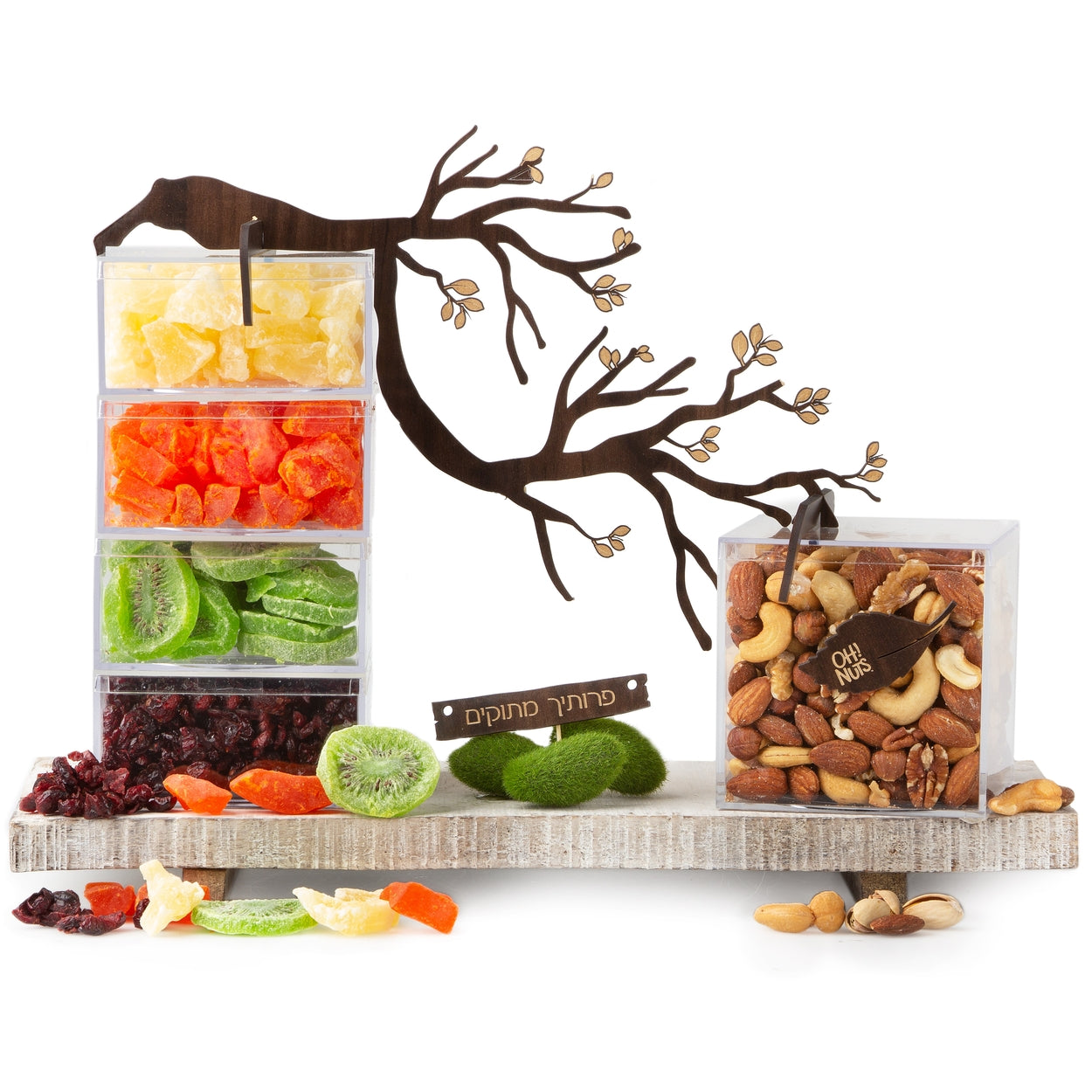 Tu Bishvat Wooden Tree Dried Fruit Gift Basket