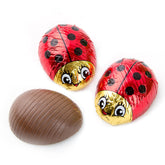 Chocolate Novelties