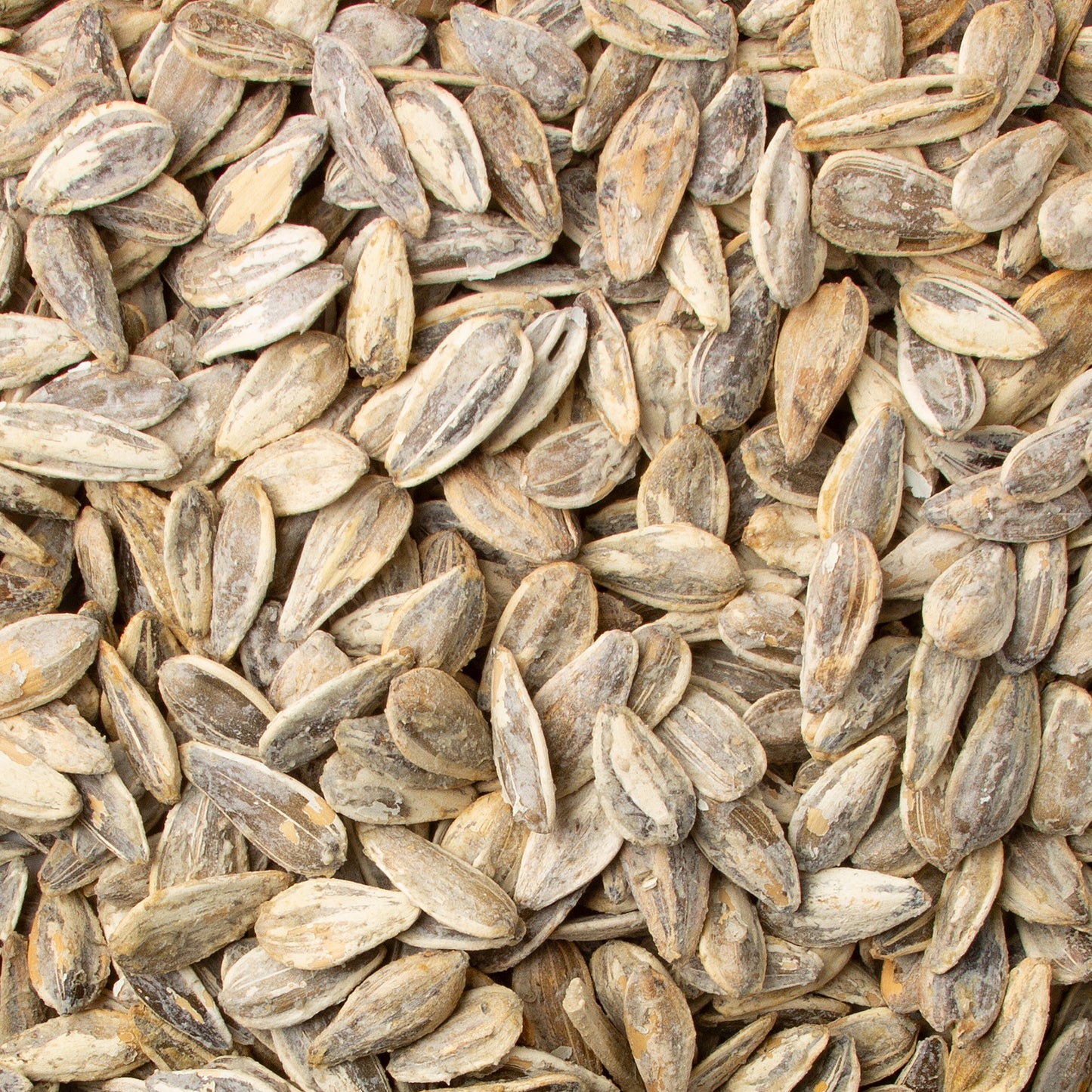 Roasted Salted Israeli Sunflower Seeds