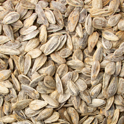 Roasted Salted Israeli Sunflower Seeds