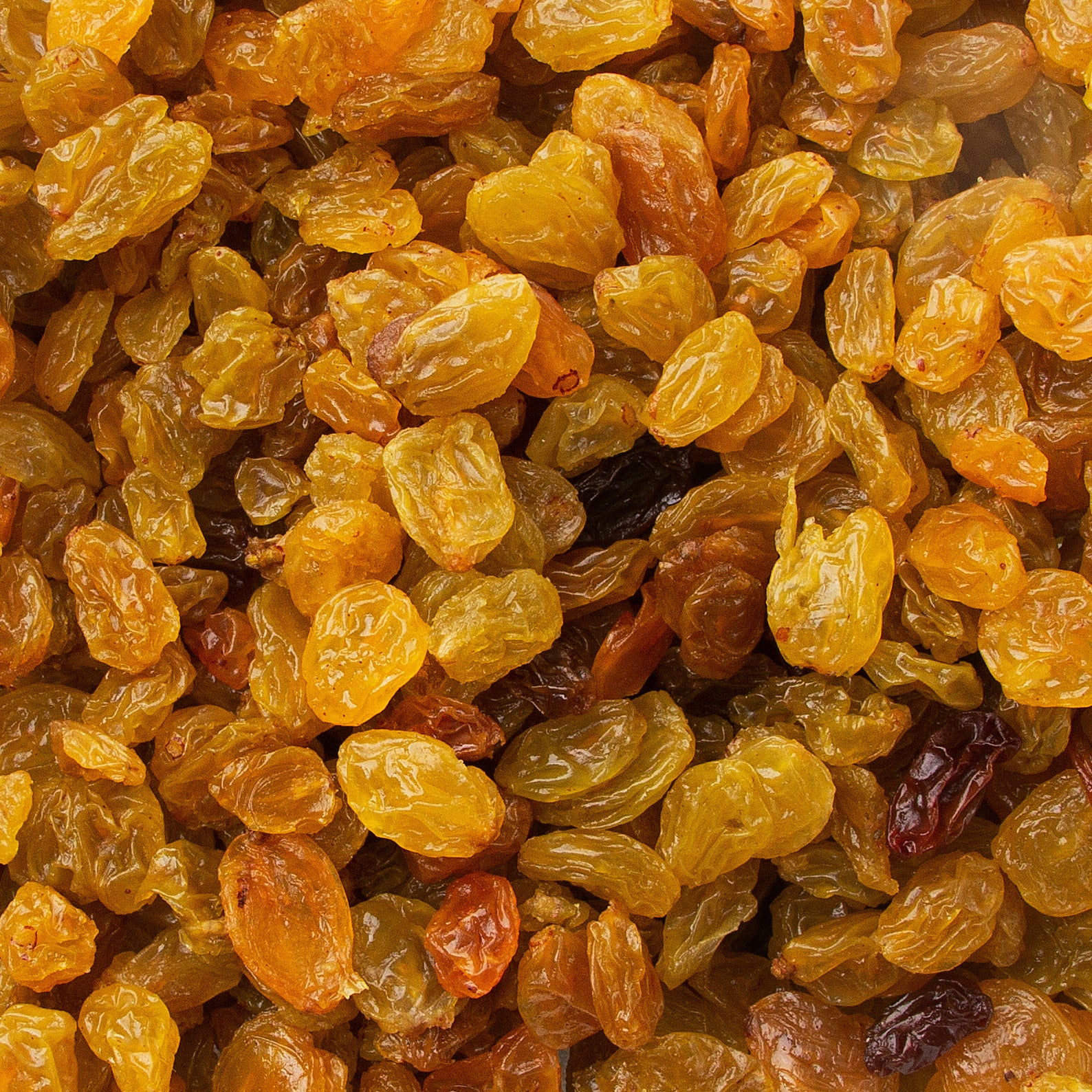 Jumbo Golden Raisins – Oh! Nuts