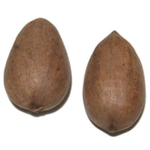 Passover Pecans in Shell