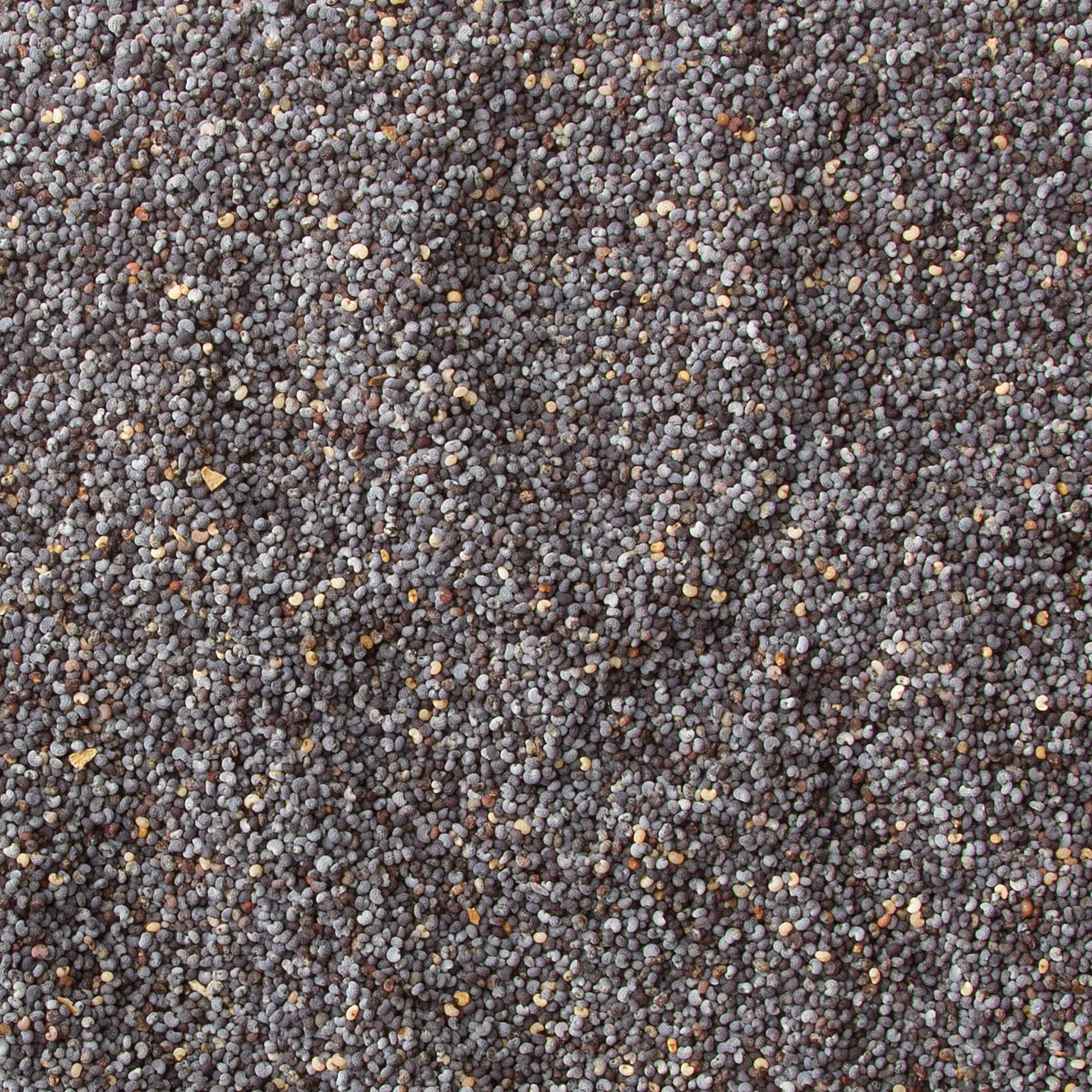 Spanish Poppy Seeds