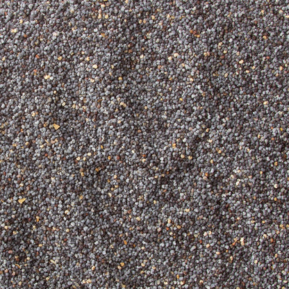 Spanish Poppy Seeds