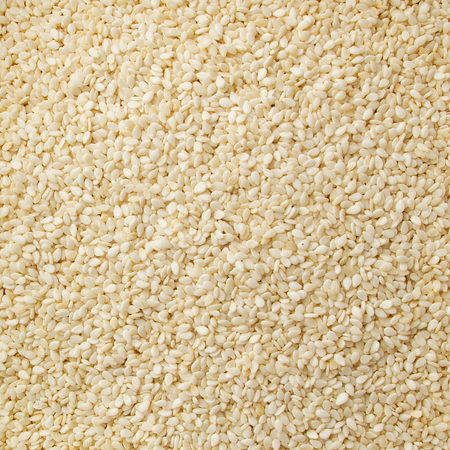Hulled Sesame Seeds
