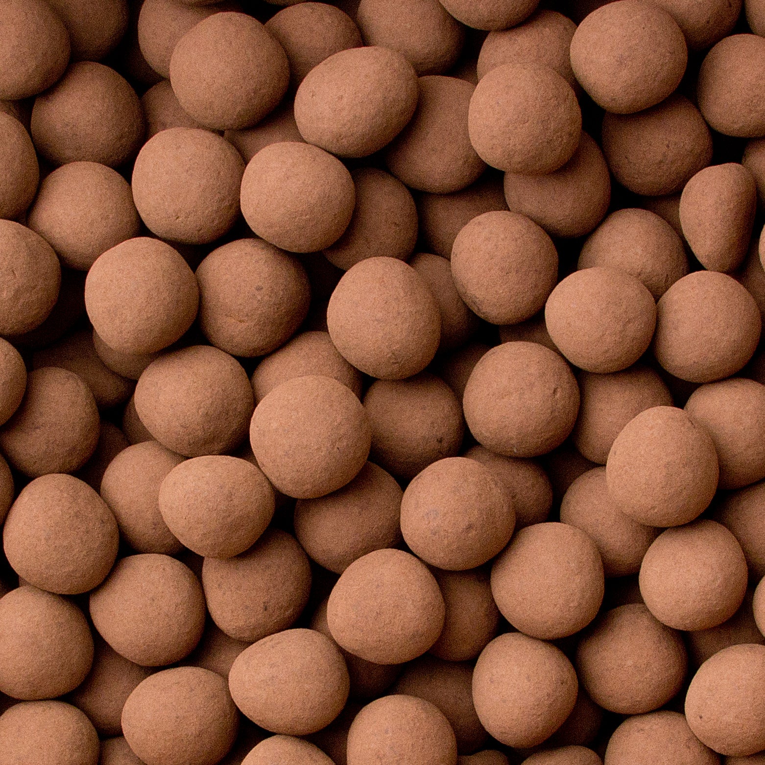 Passover Cocoa Chocolate Covered Hazelnuts