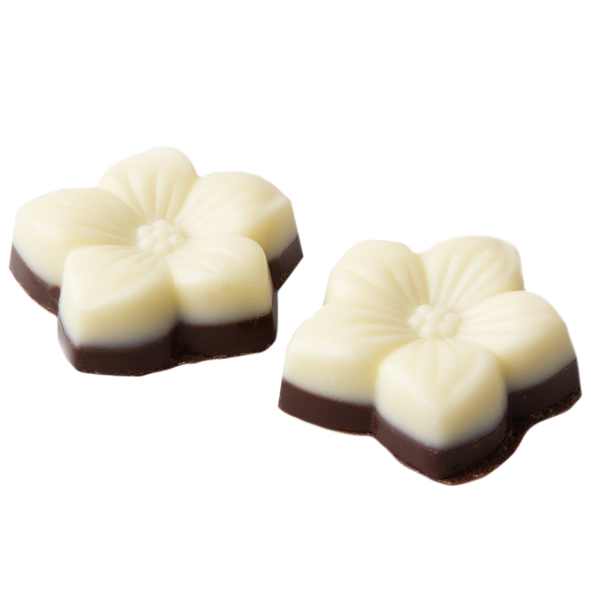 Non-Dairy Two Tone Flower Chocolate Truffles