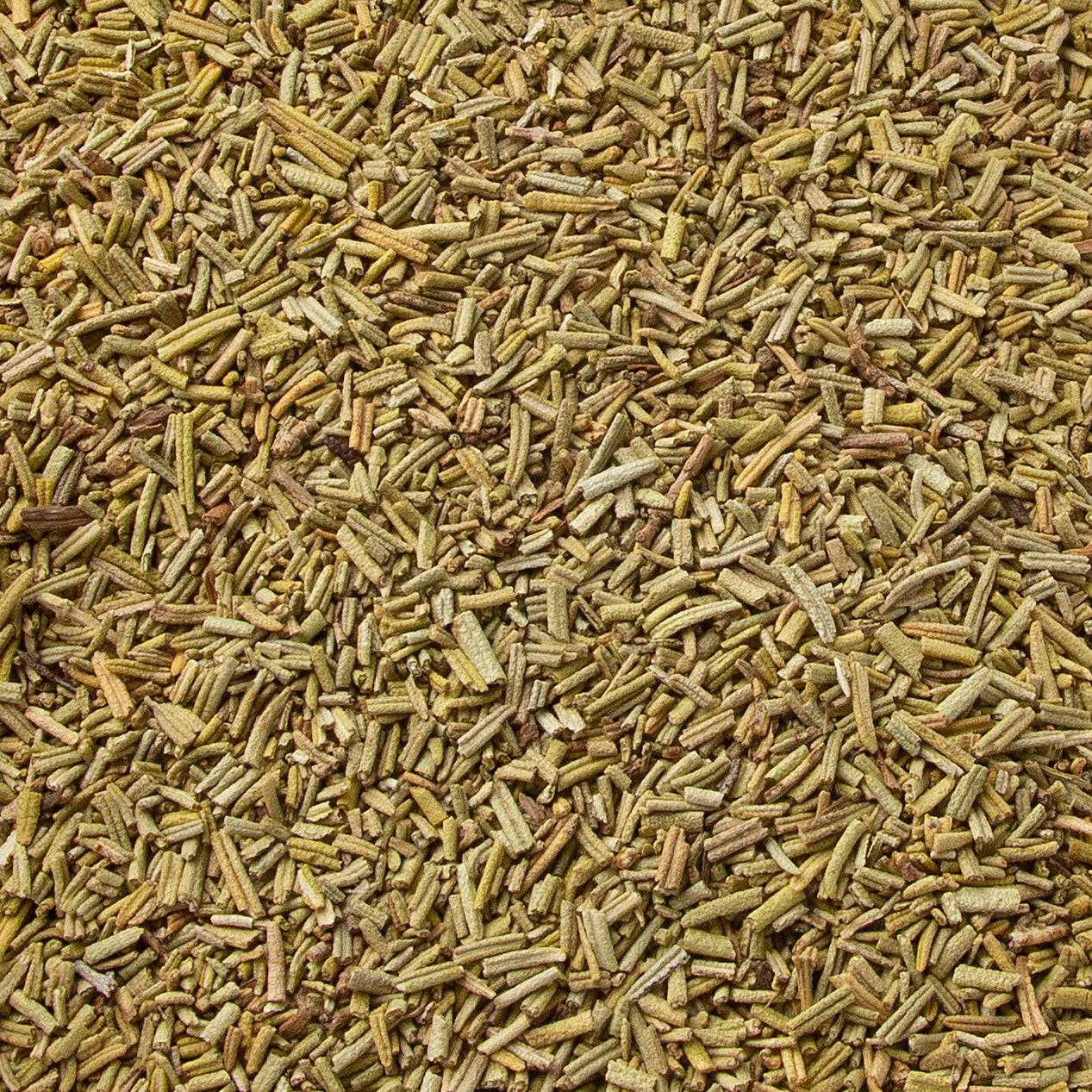 Passover Rosemary Leaves
