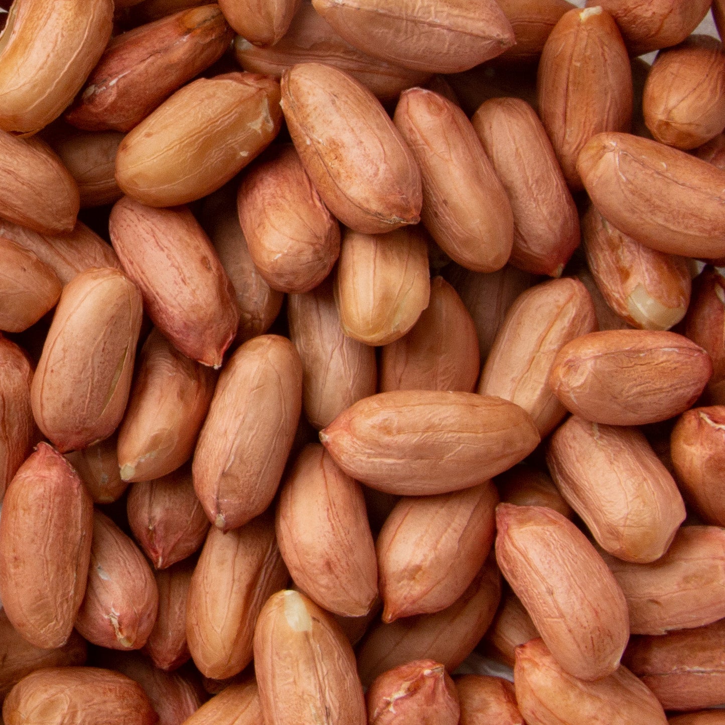 Raw Jumbo Red Skin Peanuts