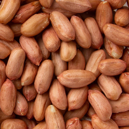 Raw Jumbo Red Skin Peanuts