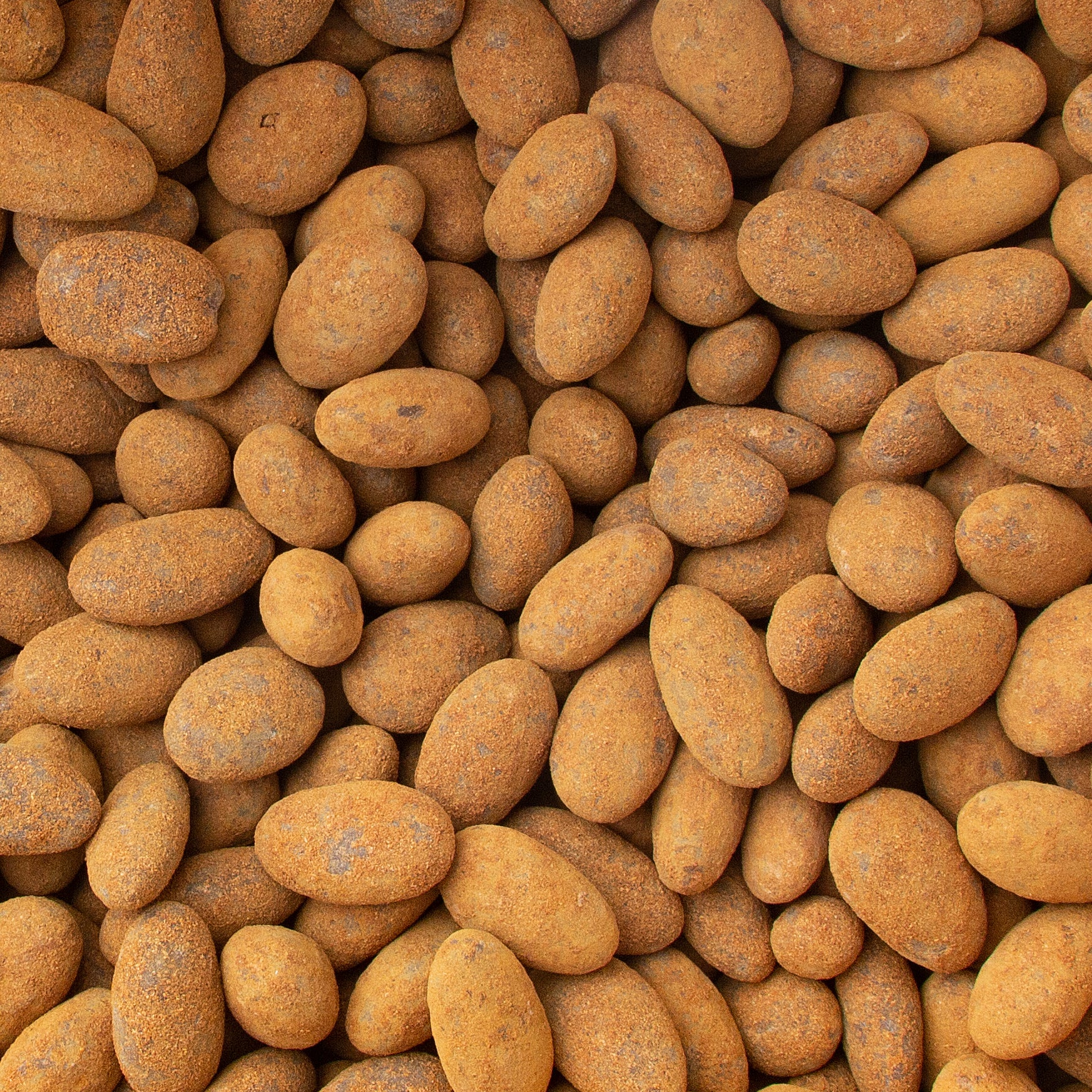 Chocolate Covered Cinnamon Almonds