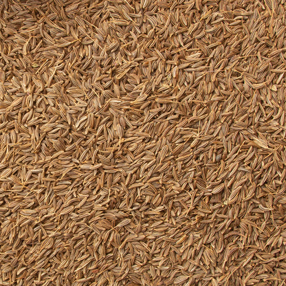 Caraway Seeds
