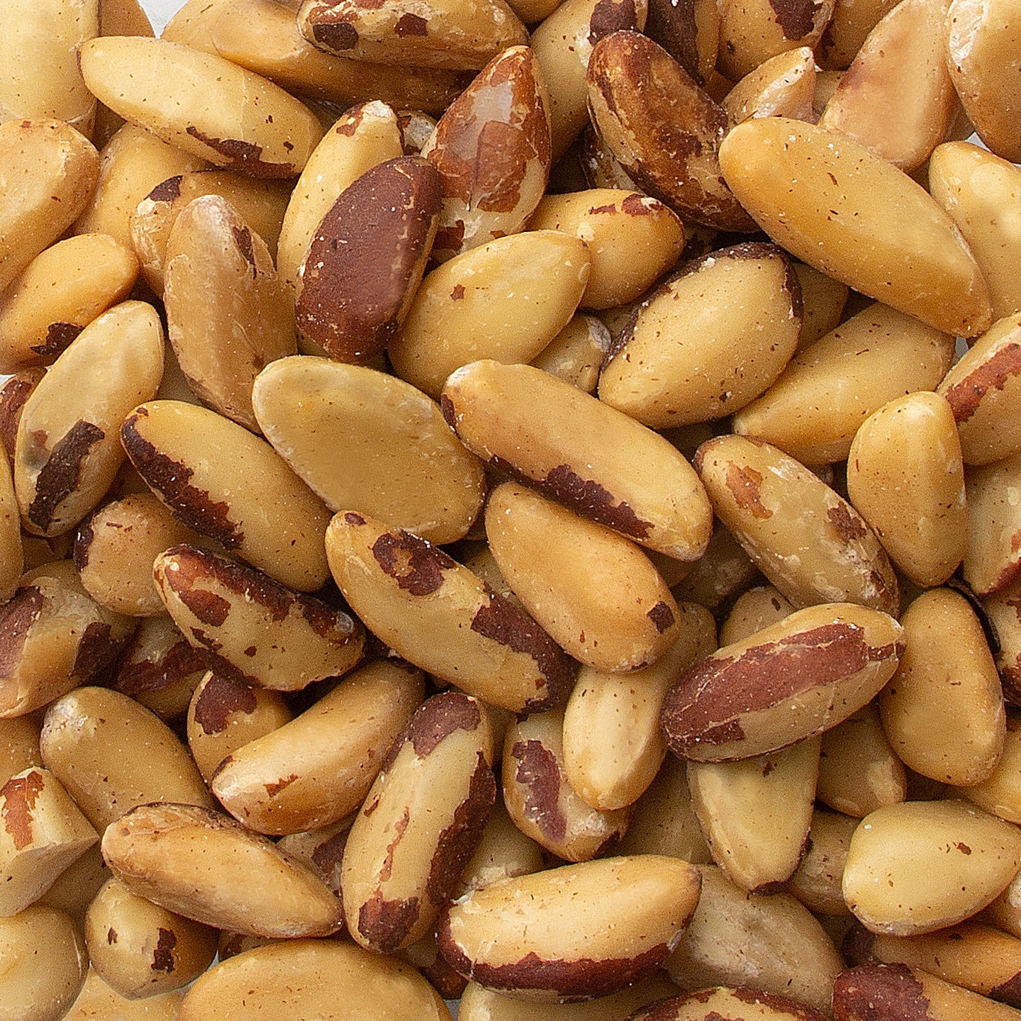 Roasted Salted Brazil Nuts