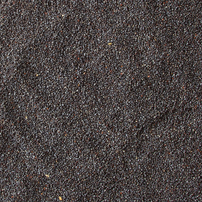 Bulk Poppy Seeds