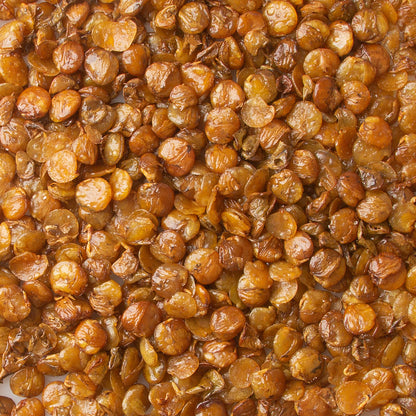 Roasted Unsalted Lentils