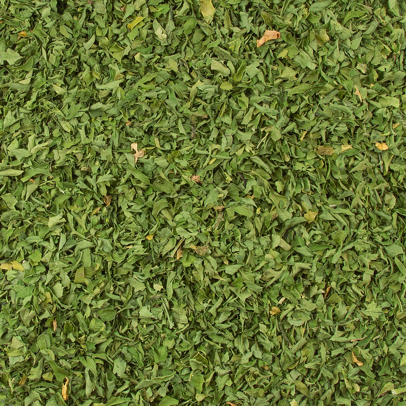 Parsley