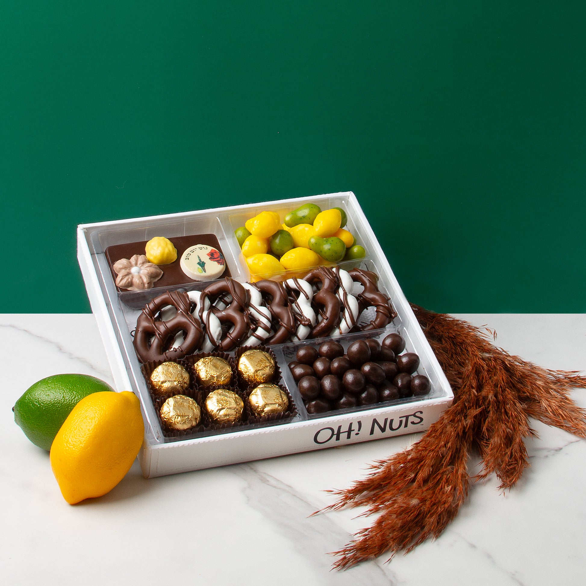 Sukkot White Leather Sectional Chocolate Gift Basket
