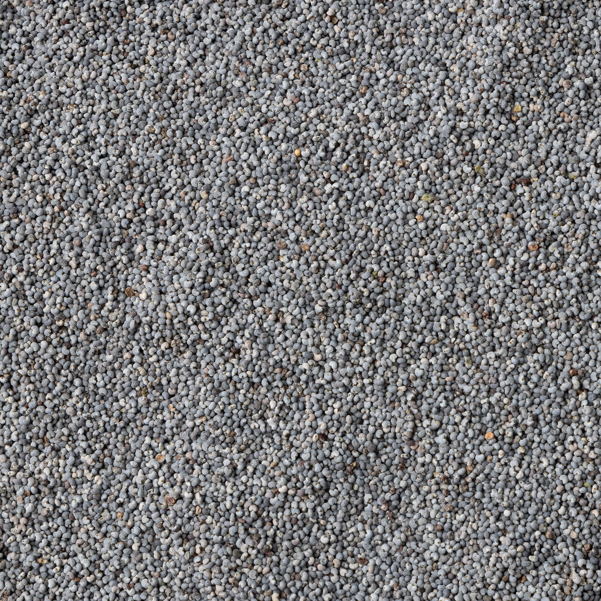 Australia Blue Poppy Seeds