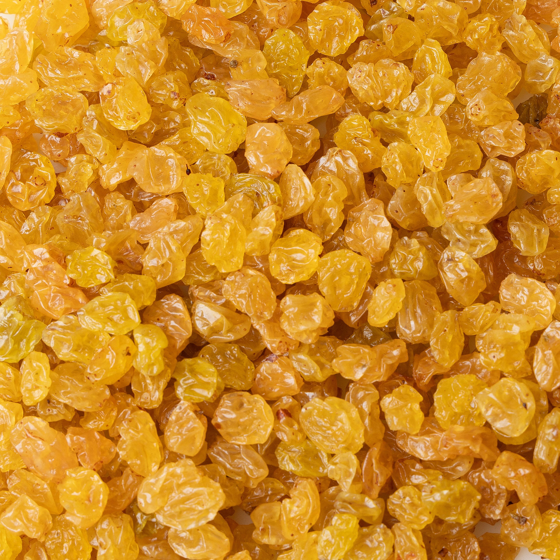 Gold Raisins