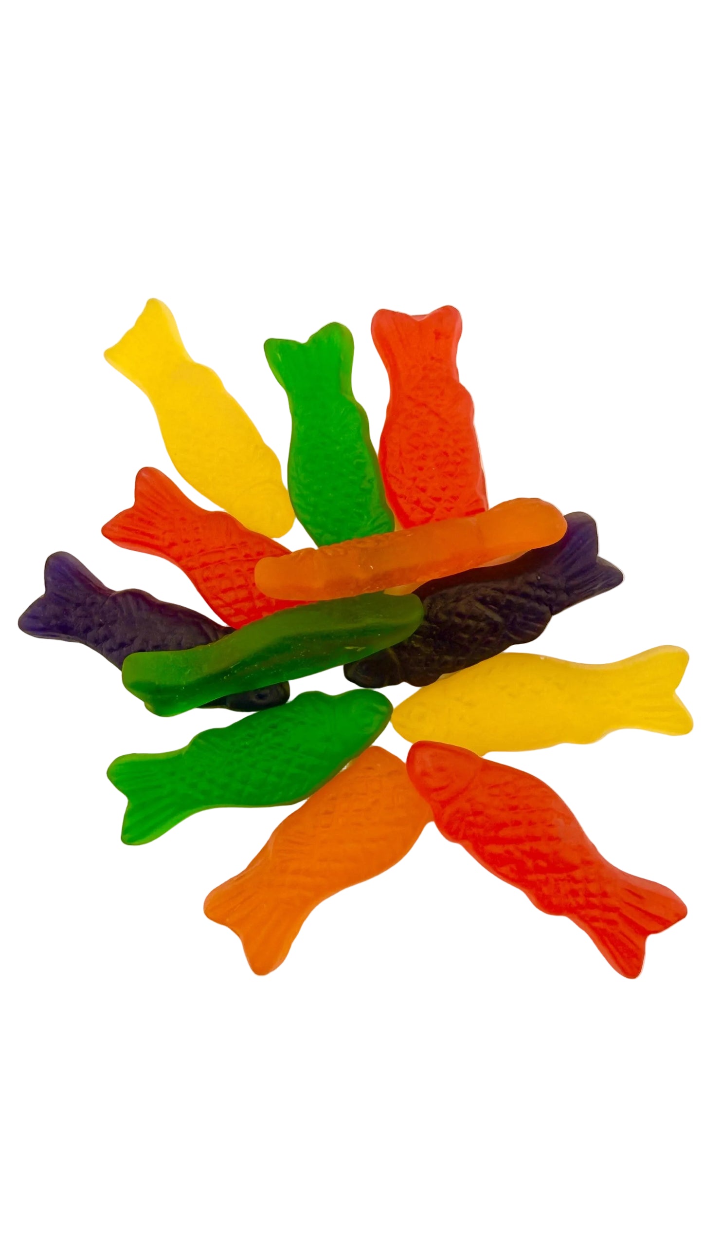 Jelly Fish - 1LB Bag