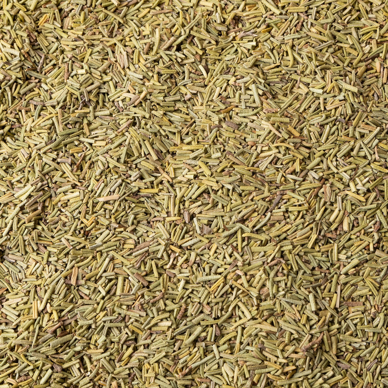 Rosemary