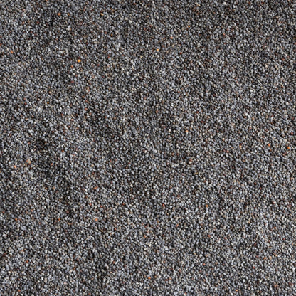 Dutch Blue Poppy Seeds