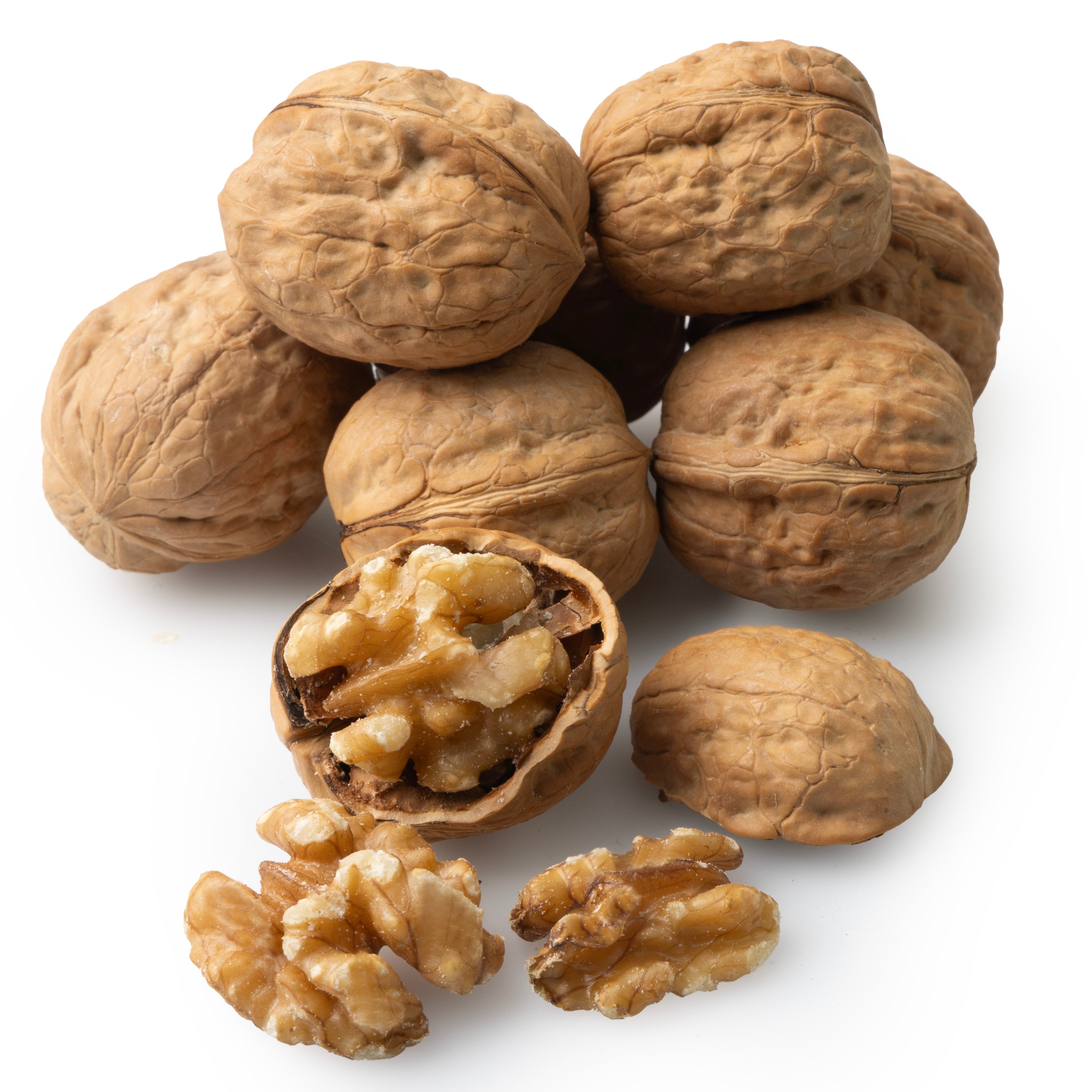 Un Shell Walnuts Walnuts in Shell – Oh! Nuts