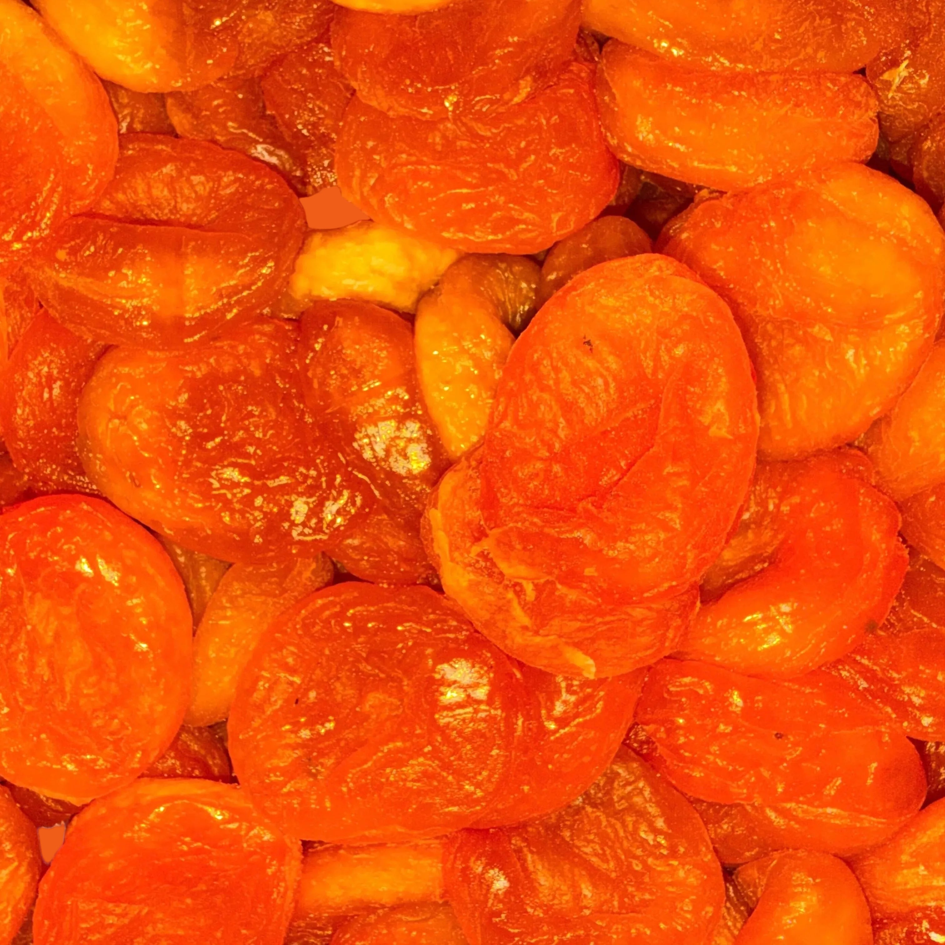Small Dried Apricot – Oh! Nuts