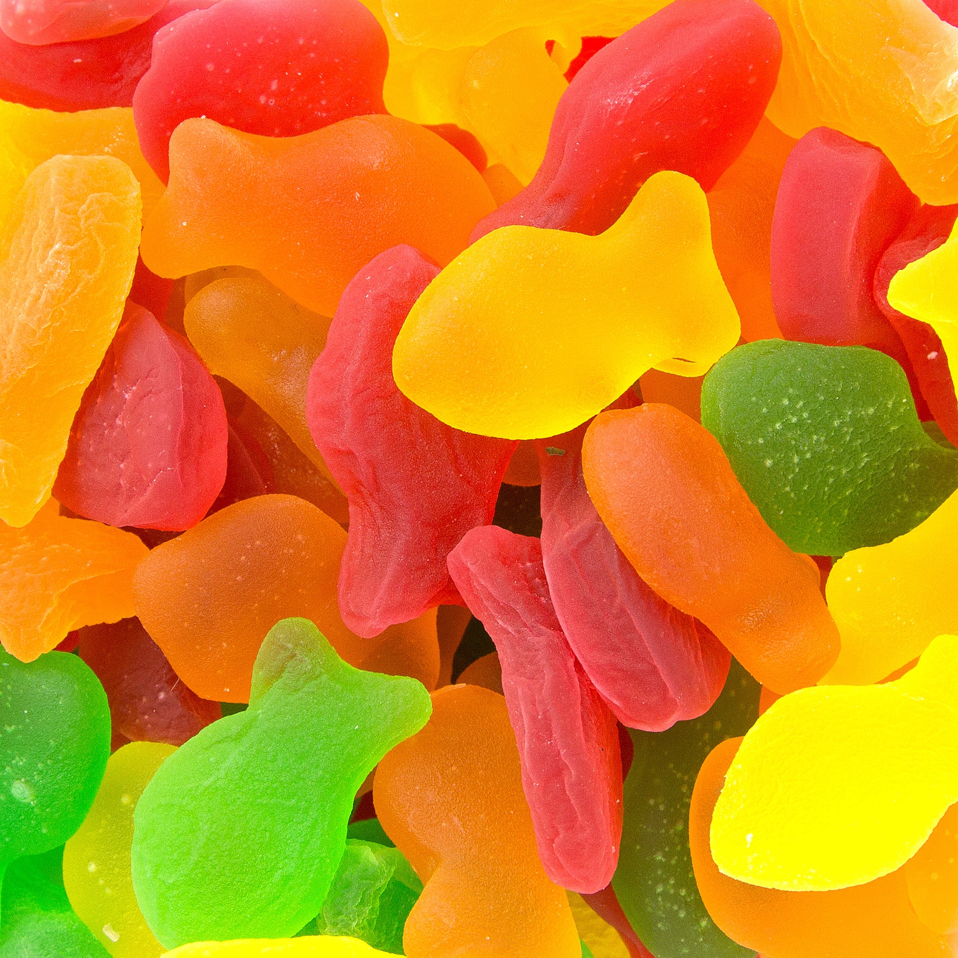 Passover Assorted Mini Jelly Fish - 9 OZ Box