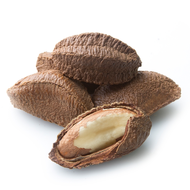 Brazil Nuts In Shell • Bulk Brazil Nuts 