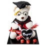 XL Teddy Bear Candy & Chocolate Graduation Gift Tray