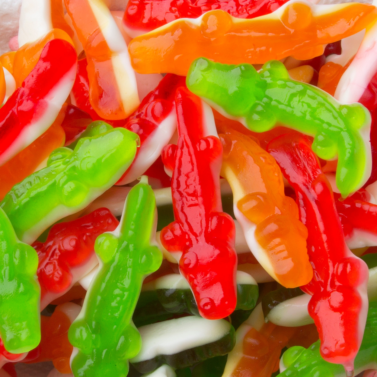 Fini Kosher Gummy Crocodiles - 2.2 LB Bag • Gummies & Jelly Candy ...